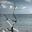 thumbnail_6